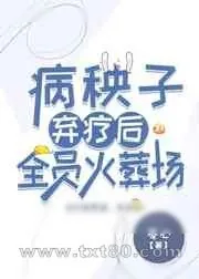 《病秧子弃疗后全员火葬场》小说封面