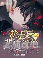 《我走后陆先生悲痛欲绝》小说封面