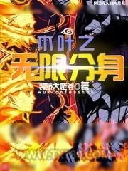 《木叶之无限分身》小说封面