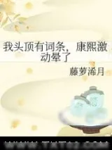 《我头顶有词条，康熙激动晕了》小说封面