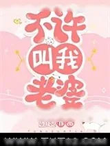 《不许叫我老婆》小说封面