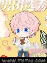 《男团选秀，吃瓜爆红》小说封面