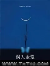 《误入金笼》小说封面