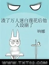 《渣了万人迷白莲花后他人设崩了》小说封面