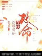 《天边月光》小说封面
