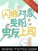 《闪婚对象是前男友上司》小说封面