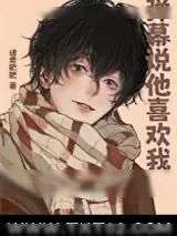 《弹幕说他喜欢我》小说封面