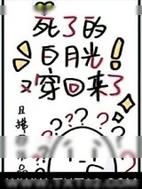 《死了的白月光又穿回来了》小说封面