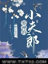 《邪神的小夫郎》小说封面