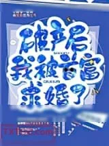 《破产后我被首富求婚了》小说封面