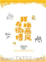 《我在微博换画风》小说封面
