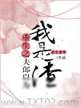 《重生之夫郎以为我是渣》小说封面
