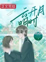 《云开月明时》小说封面