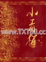 《黑皮将军的小青梅》小说封面