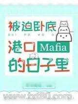 《被迫卧底港口Mafia的日子里》小说封面
