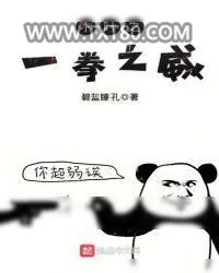 《木叶之一拳之威》小说封面
