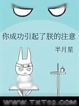 《你成功引起了朕的注意》小说封面