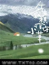 《先生，我想给你小草》小说封面