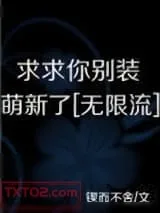 《求求你别装萌新了[无限]》小说封面
