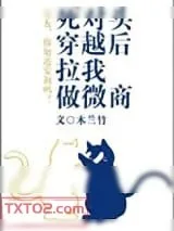 《死对头穿越后拉我做微商》小说封面