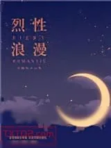 《烈性浪漫》小说封面