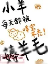 《小羊每天都被薅羊毛》小说封面