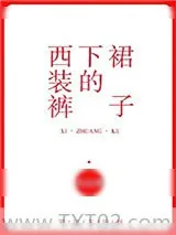 《西装裤下的裙子》小说封面