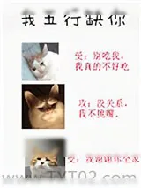 《我五行缺你》小说封面