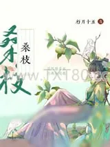 《古代药膳手札》小说封面