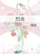 《烈炎》小说封面