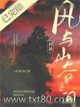 《风与山谷之间》小说封面