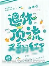 《退休顶流又翻红了》小说封面