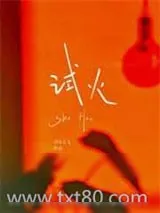 《试火》小说封面