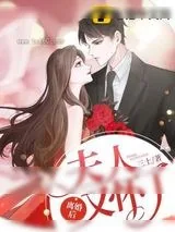 《离婚后夫人又怀了》小说封面