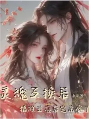 《灵魂互换后：摄政王在后宅杀疯了》小说封面