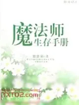 《魔法师生存手册》小说封面