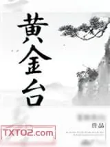 《黄金台》小说封面