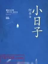 《小日子》小说封面