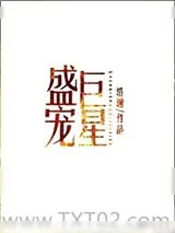 《盛宠巨星》小说封面