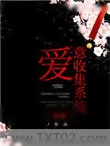 《爱意收集系统》小说封面