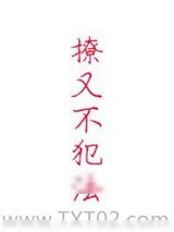 《撩又不犯法》小说封面