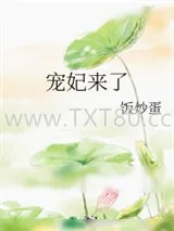 《宠妃来了》小说封面