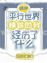 《在两个平行世界横跳的我经历了什么》小说封面