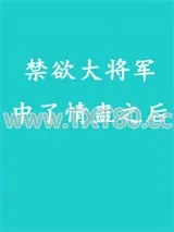 《禁欲大将军中了情蛊之后》小说封面