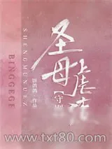 《圣母》小说封面