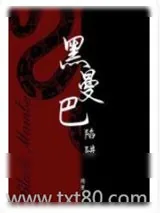 《黑曼巴陷阱》小说封面
