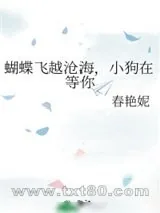 《蝴蝶飞越沧海,小狗在等你》小说封面