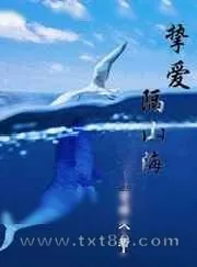 《挚爱隔山海》小说封面