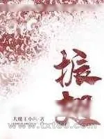 《振翅》小说封面