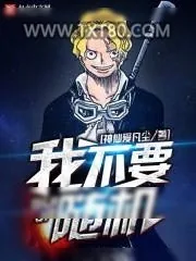 《随机从海贼开始》小说封面